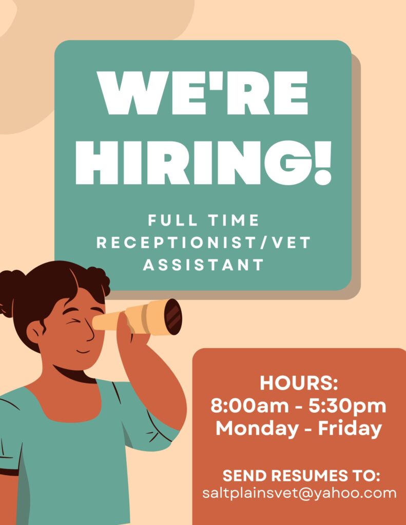 Receptionist/Vet Assistant ~ 10.06.25