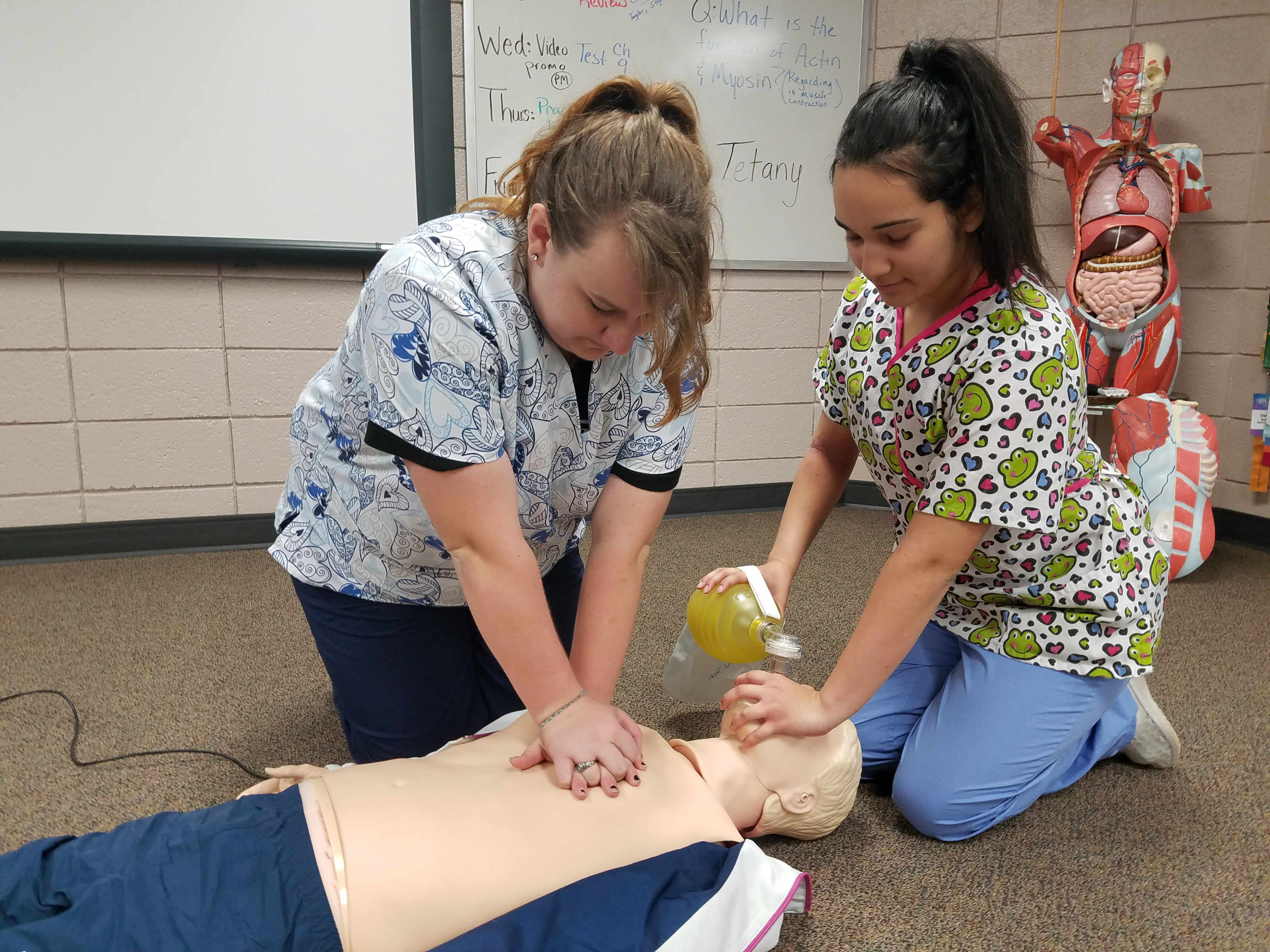 HCC Program Trains Students for Healthcare Careers